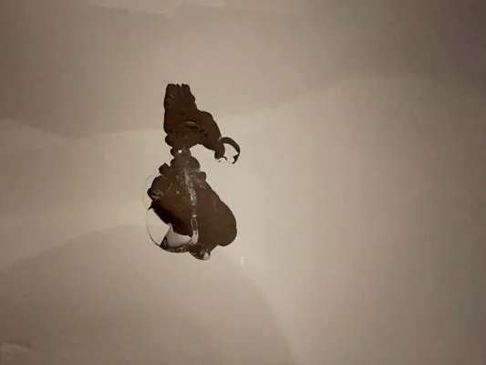 Solutions Tub & Mechanical