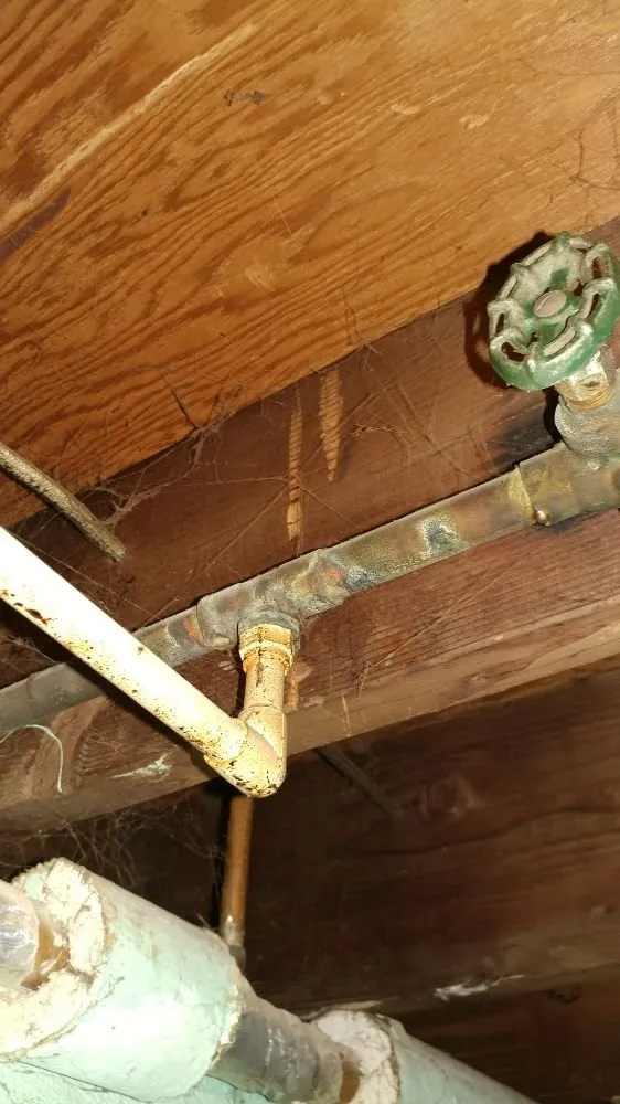 Slide of Someonez Cleaning Drains and More