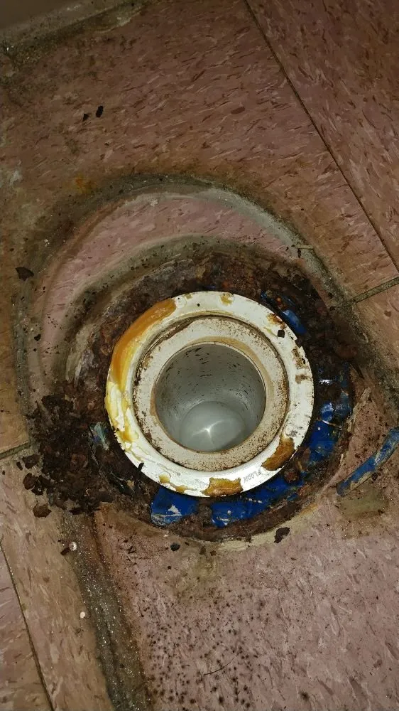 Slide of Someonez Cleaning Drains and More