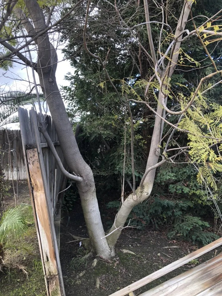 Slide of Son-in-Laws General Services Company