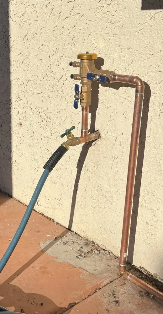 Slide of Sonoran Desert Plumbing