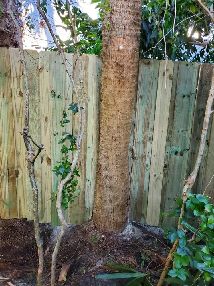 Slide of Son's Services