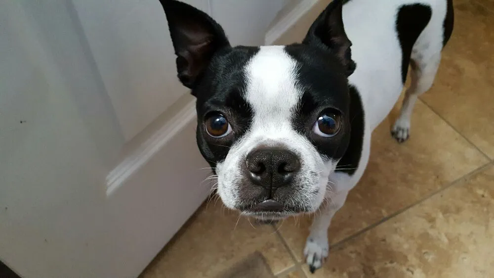 Affordable emergency plumbing service in Palm Desert, CA - SOS Plumbing