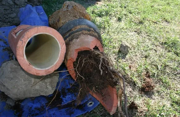 Slide of SOS Plumbing Rooter