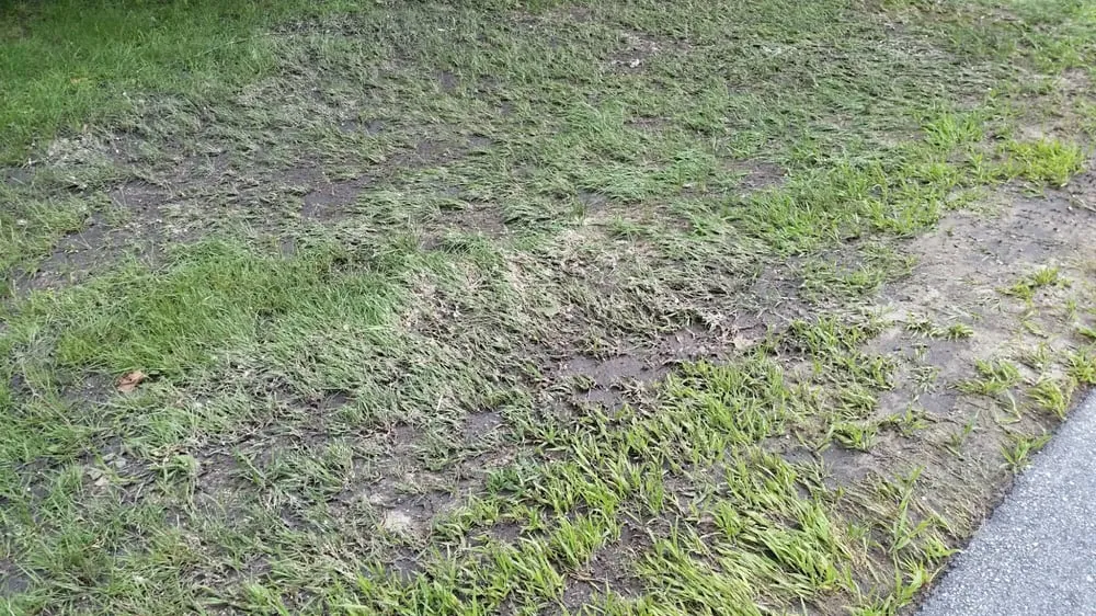 Slide of Soucy's Sewer Service Inc