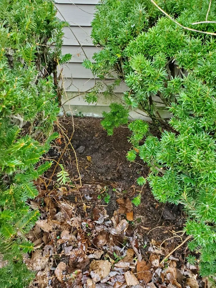 Slide of Soul-utions Plumbing & Drain Cleaning