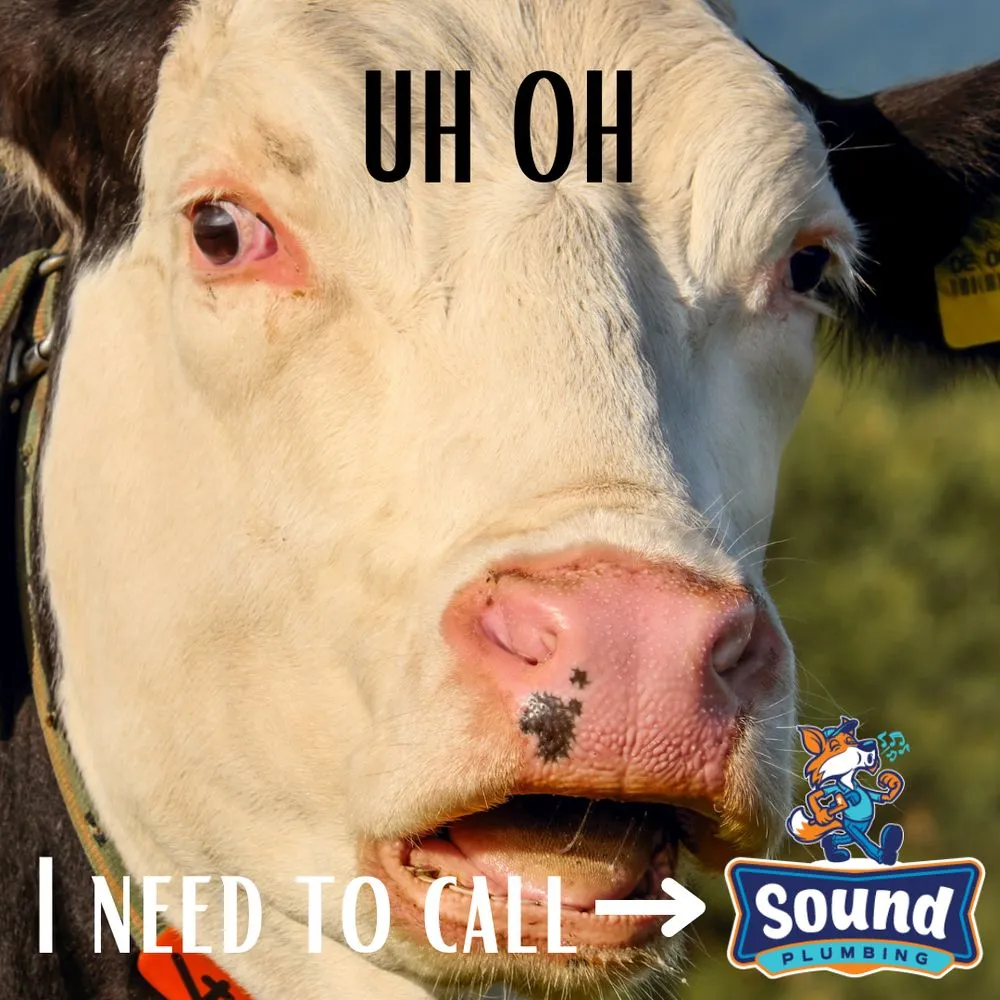 Slide of Sound Plumbing