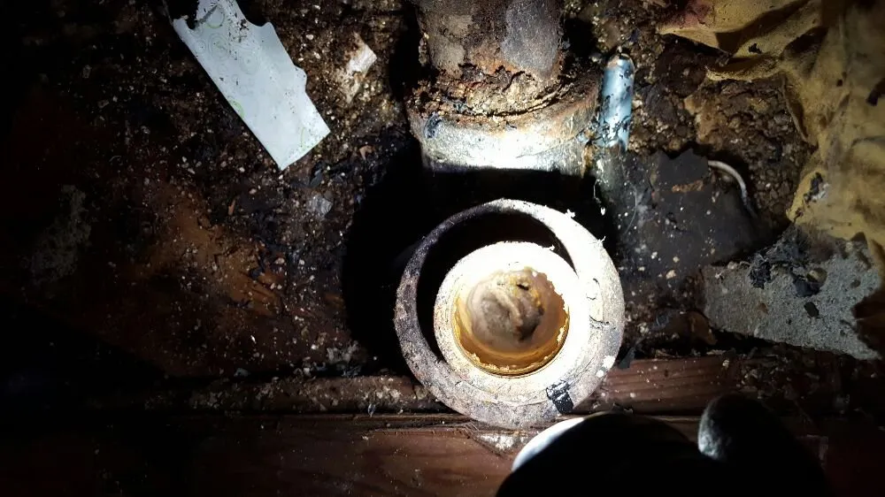 Slide of Sound Rooter & Plumbing