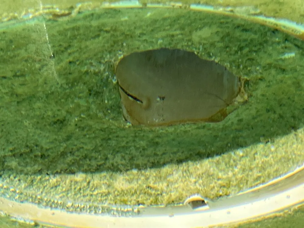 Slide of South Bay Leak Detection