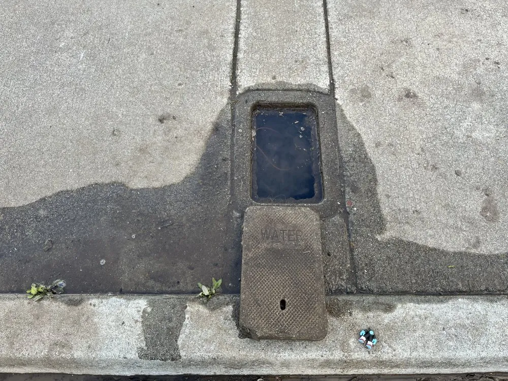 Emergency emergency plumbing experts serving San Jose, CA - South Bay Leak Detection