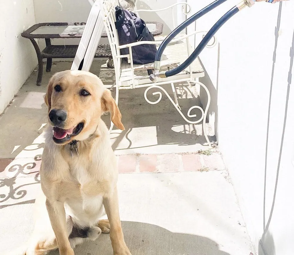 Slide of South Bay Plumbing