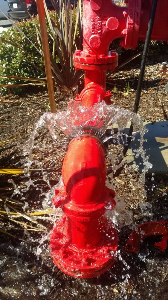 Slide of South Coast Fire Protection