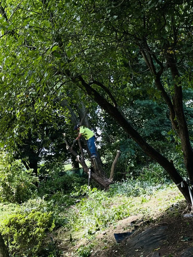 Slide of South Hill Group