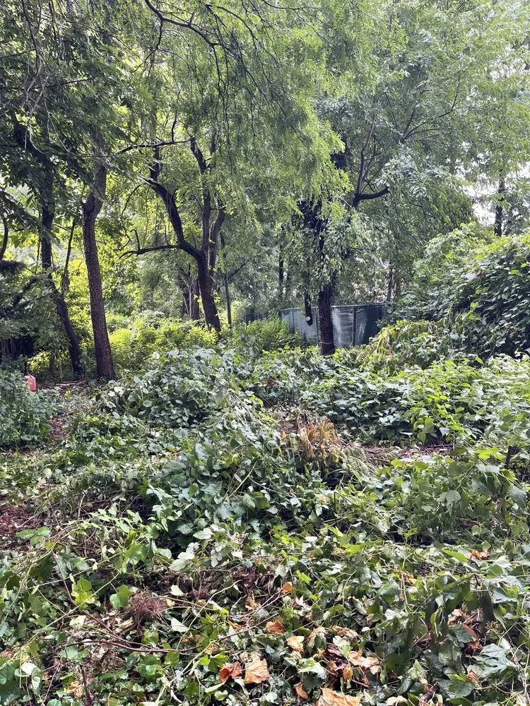 Slide of South Hill Group