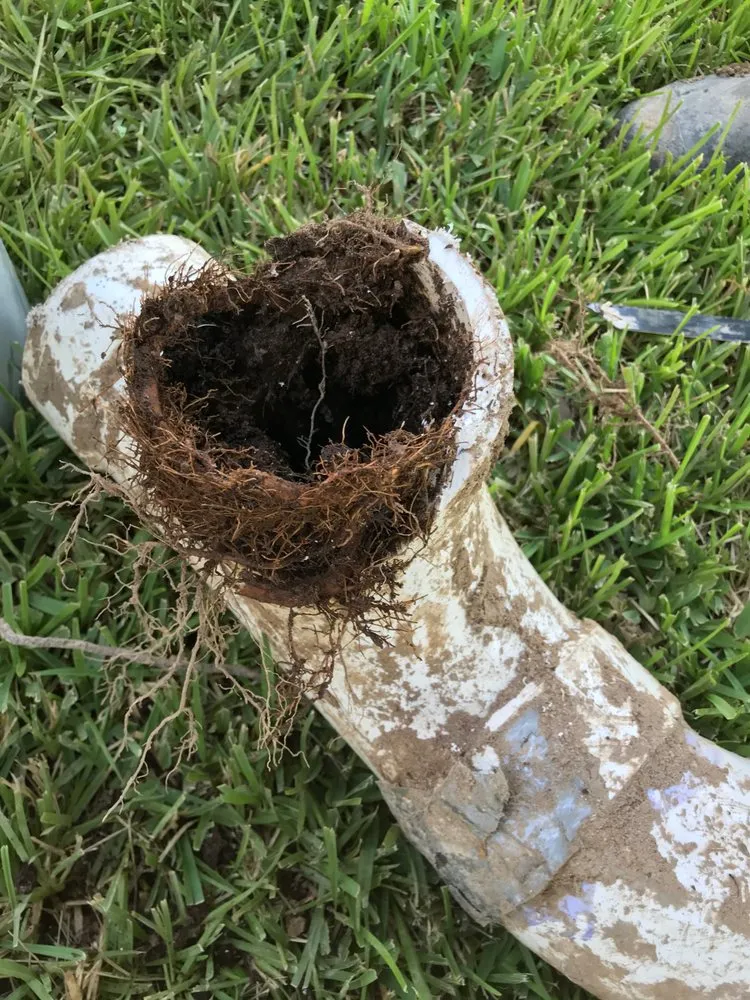 Slide of South Texas Piping