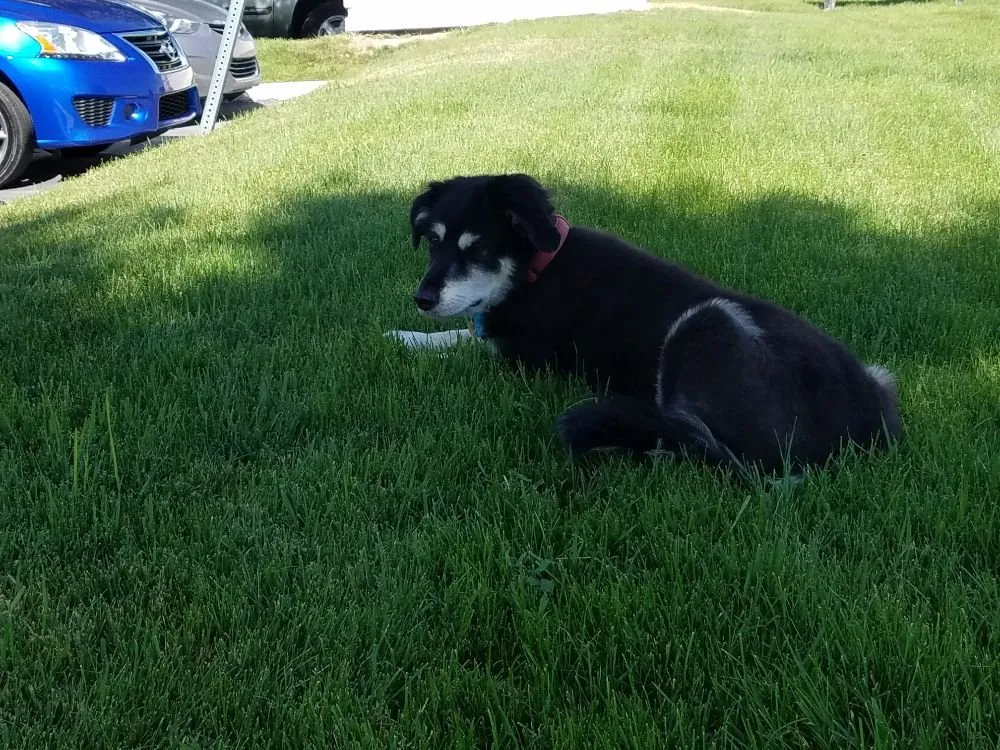 Slide of South Valley Backflow Testing Service