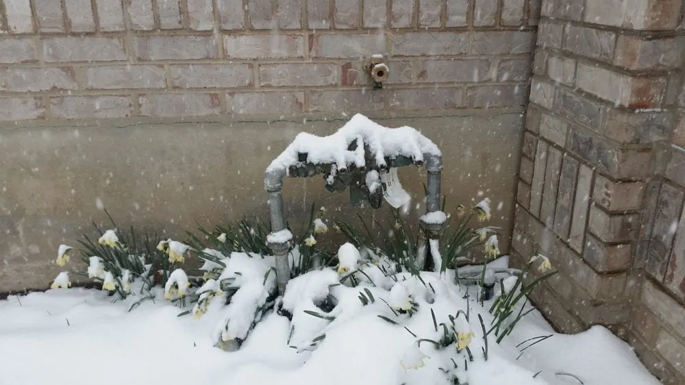 Affordable emergency plumbing service in Riverton, UT - South Valley Backflow Testing Service