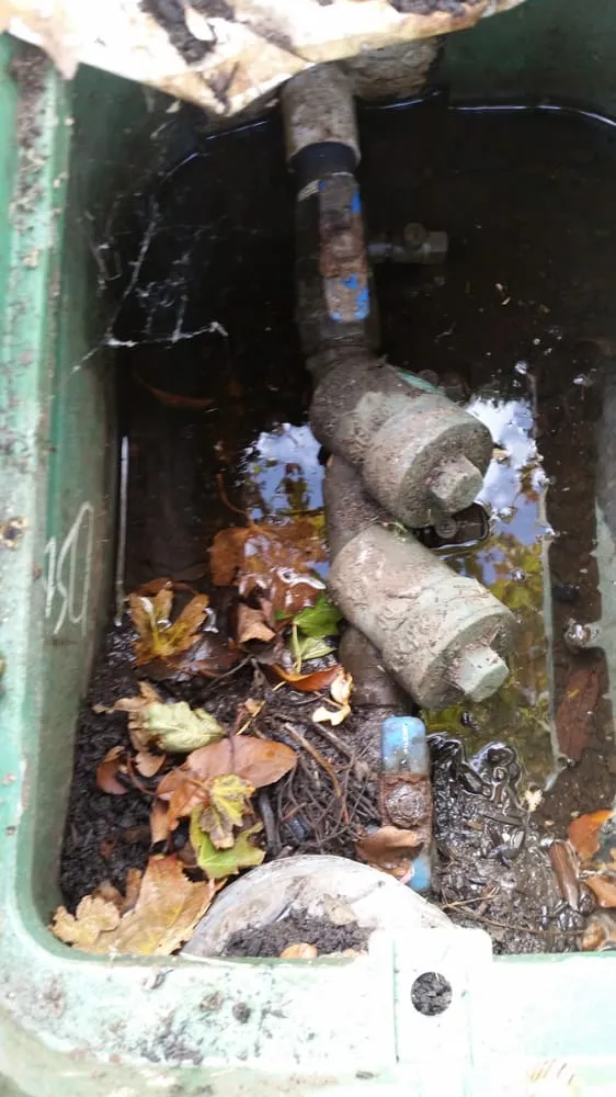 Expert leak detection service in Riverton, UT - South Valley Backflow Testing Service