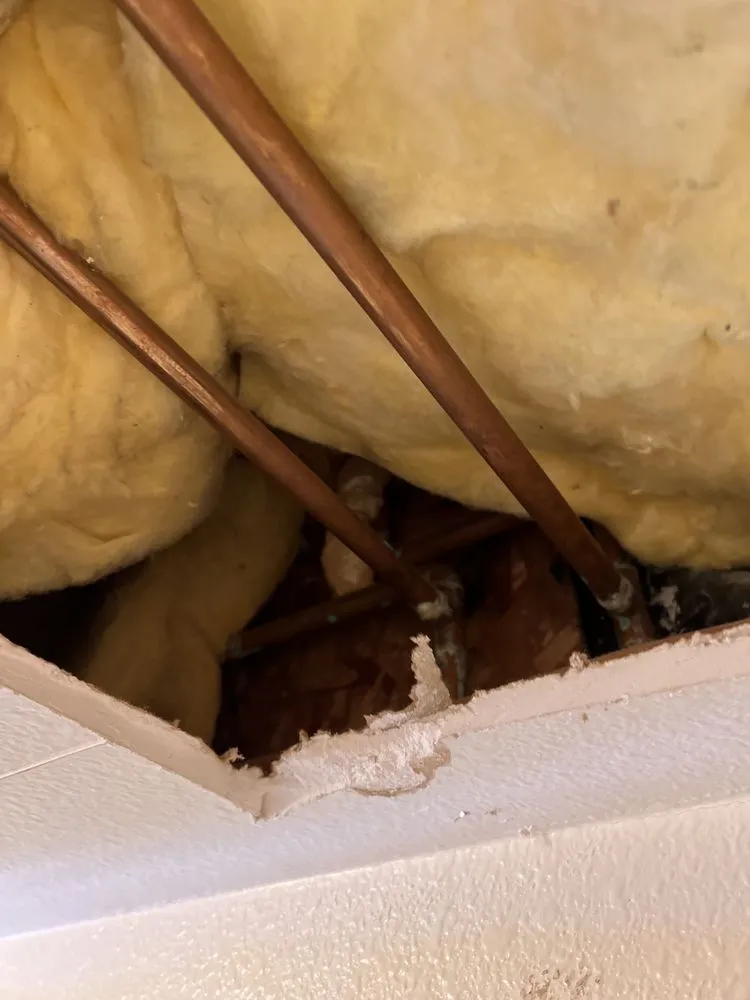 Professional plumbing repair for homes in San Diego, CA by Southbay Plumbing & Handyman