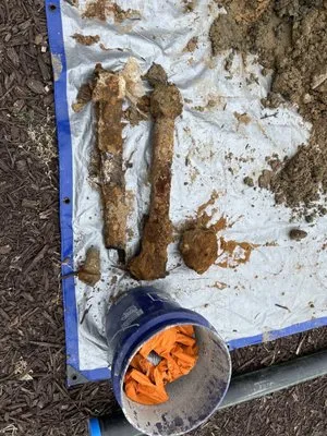 Southbay Plumbing & Handyman Logo