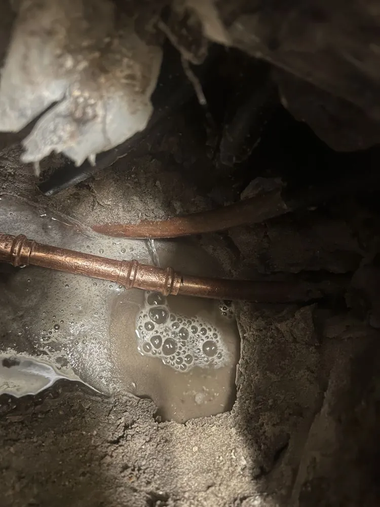 Slide of Southeastern Leak Detection and Repair