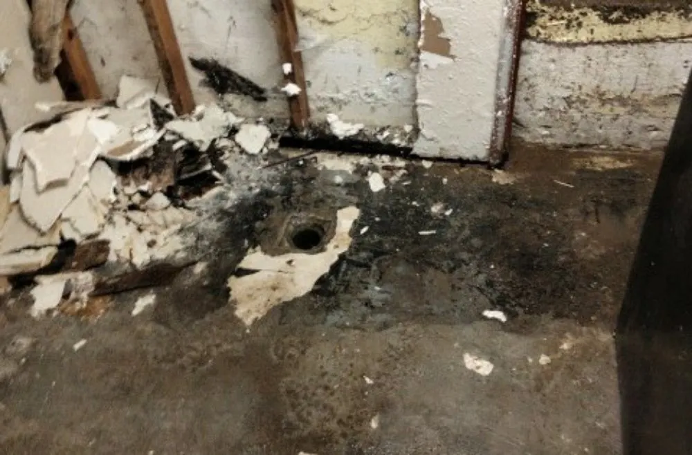 Quality leak detection experts serving Tacoma, WA - Southern Boyz General Contractor and Plumbing