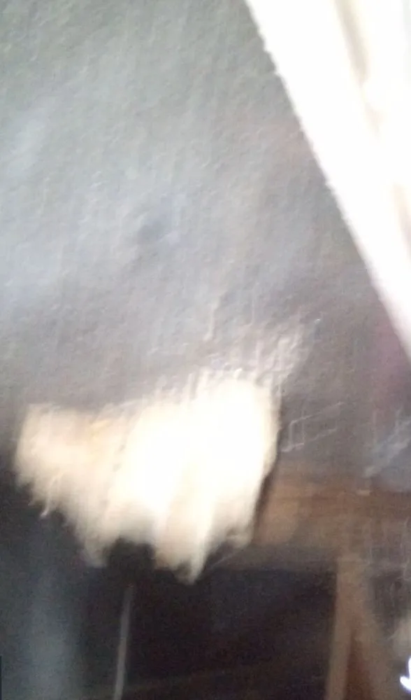 Slide of Southern Development