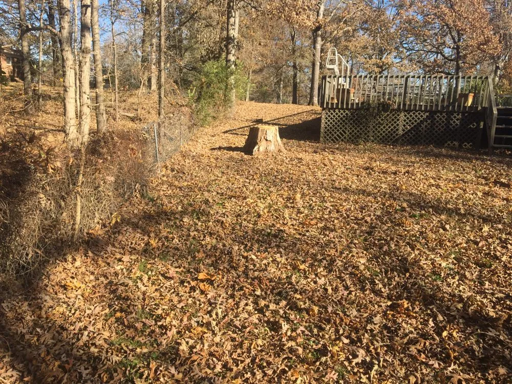 Top-rated water heater service service in Jackson, TN - Southern Home Repair