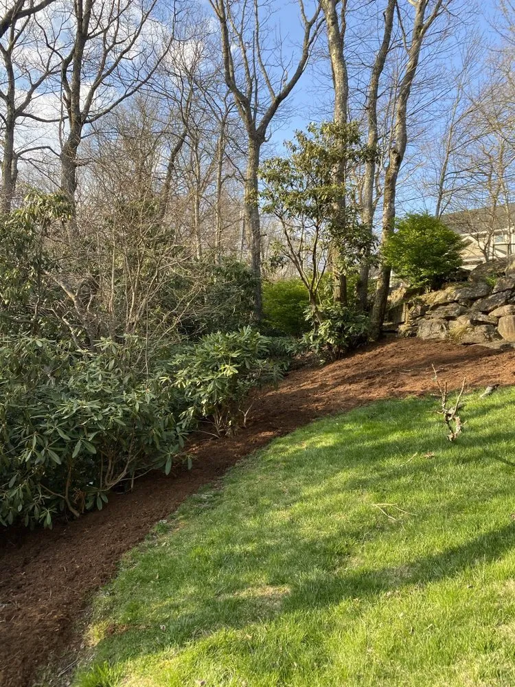 Slide of Southern Landscaping & Land Clearing