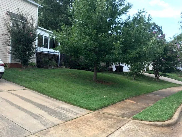 Affordable plumbing repair service in Raleigh, NC - Southern LawnScapes