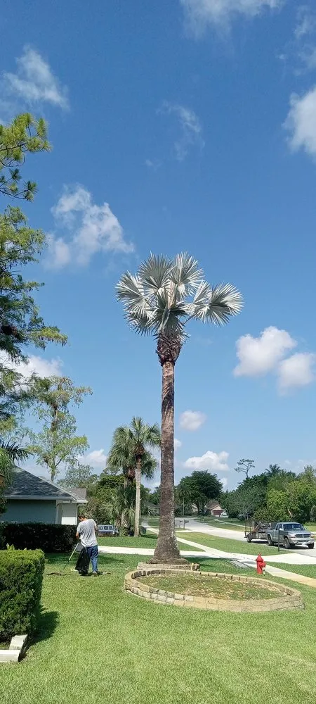 Slide of Southern Man's Maintenance