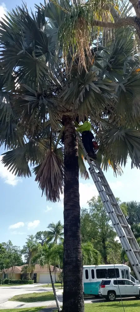 Slide of Southern Man's Maintenance