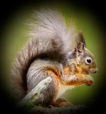 Slide of Southwest Plumbing