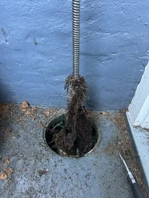 Spark Drain Sewer Logo