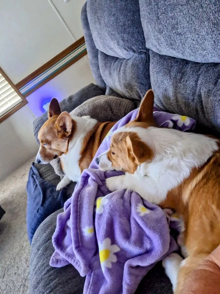 Slide of Sparks Plumbing