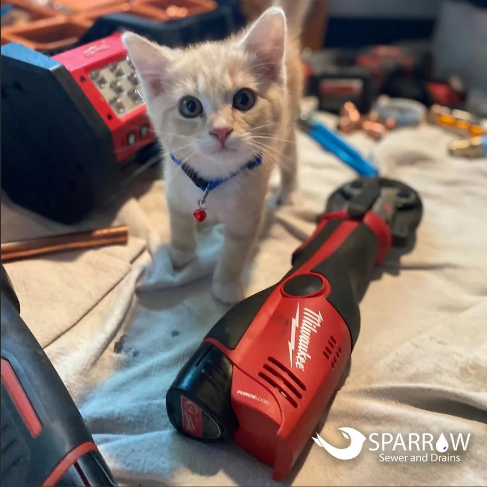 Slide of Sparrow Plumbing