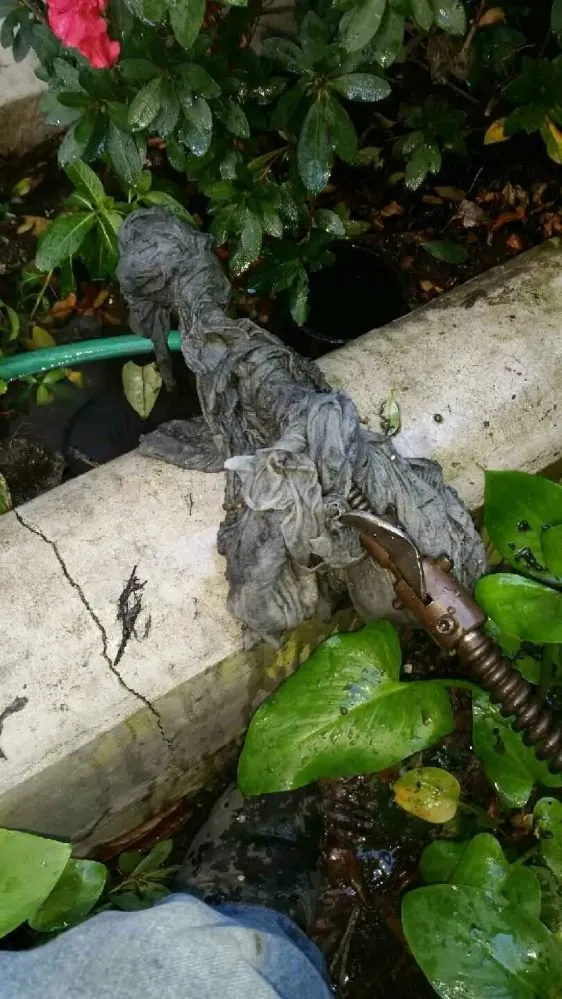 Emergency leak detection for homes in Glendale, CA by Spartan Plumbing