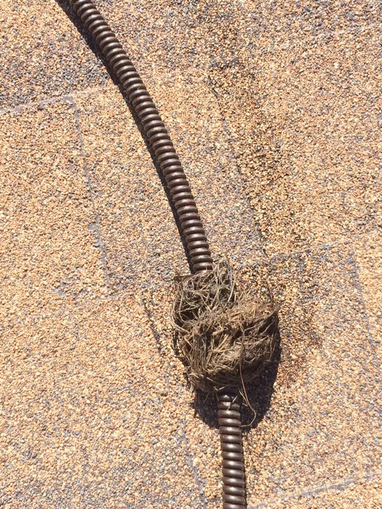 Slide of Spec Home Drain Services