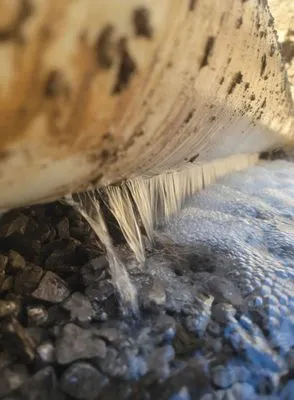 Specialist Drains and Plumbing Logo