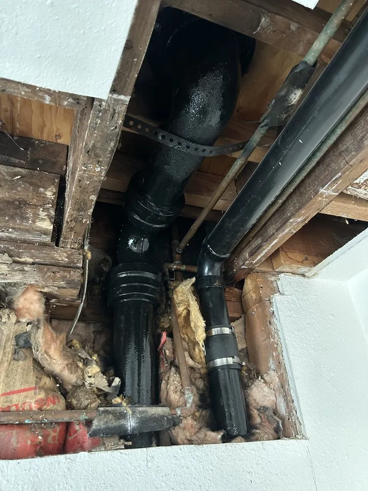 Trusted drain cleaning in Sunnyvale, CA by Speed Plumbing