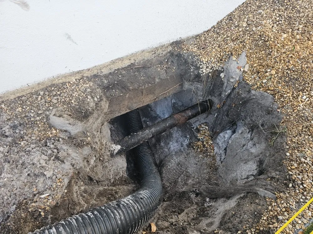 Slide of Speedy Piper Underground