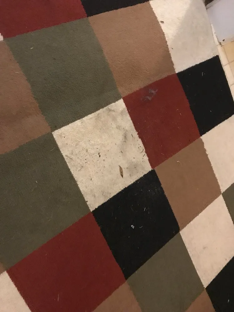 Slide of Speedy Plumbing