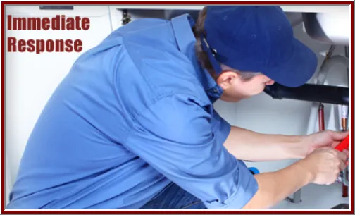 Slide of Speedy Rooter