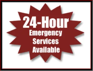 Slide of Speedy Rooter