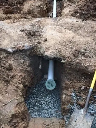 Slide of Speedy Rooter