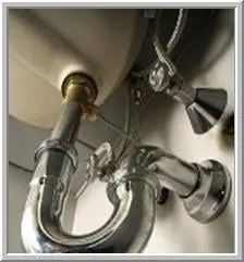 Slide of Speedy Rooter