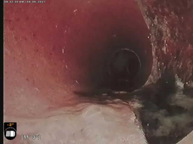 Slide of Speedy Sewer & Drain