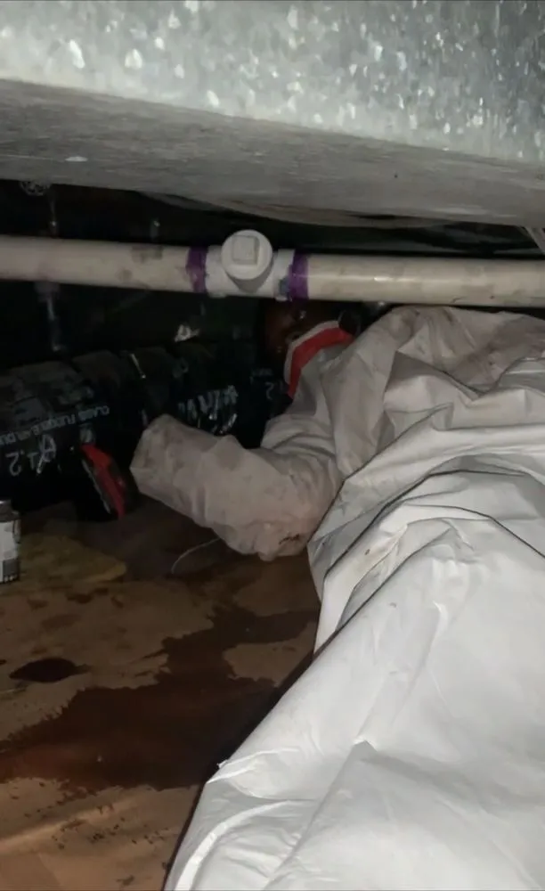 Slide of Spence Plumbing