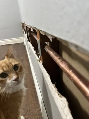 Splash Plumbing Logo