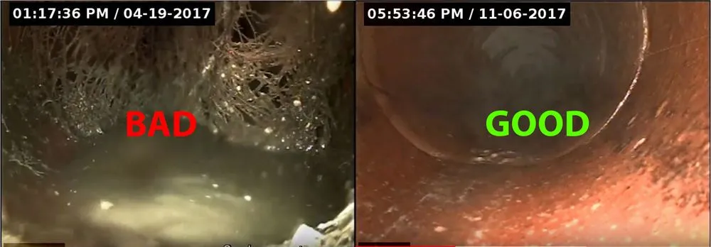 Slide of Spokane Rooter